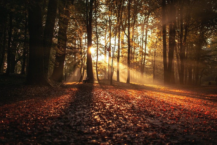 Die dunkle Zeit – Licht und Schatten